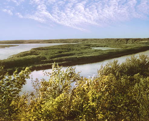 Река Амур.